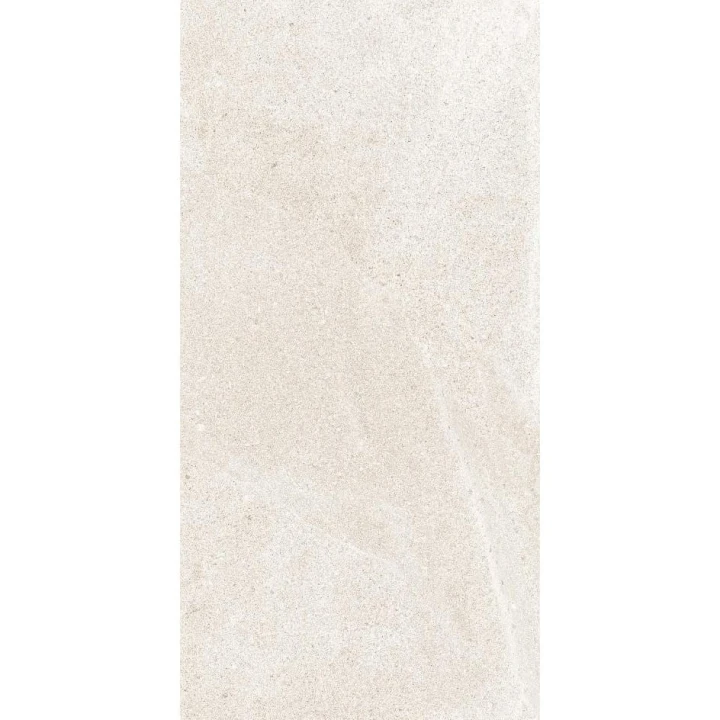 53529