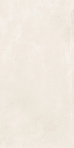 16.webp
