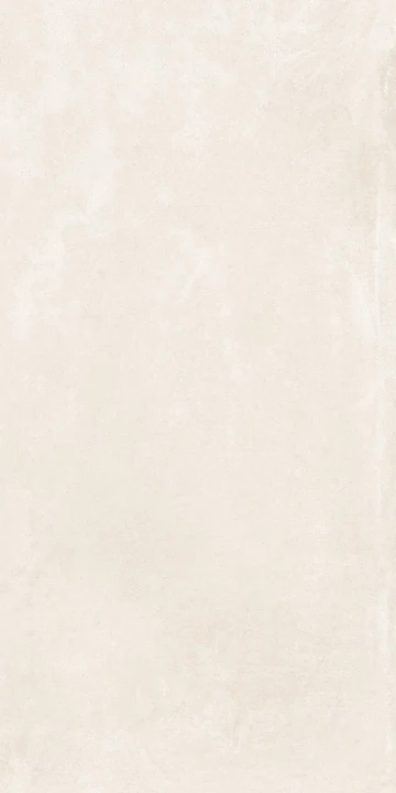 16.webp