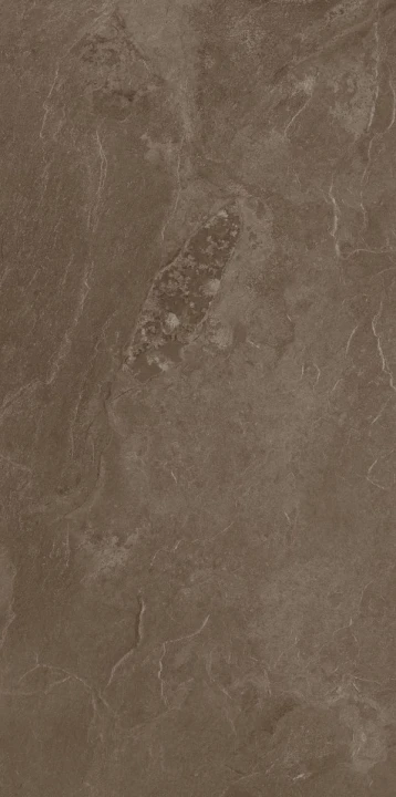 plytka-podlogowa-coffee-field-brown-119-8x59-8-paradyz.jpg