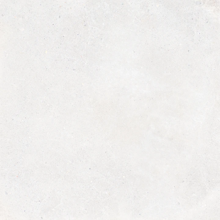 WHITE.jpg