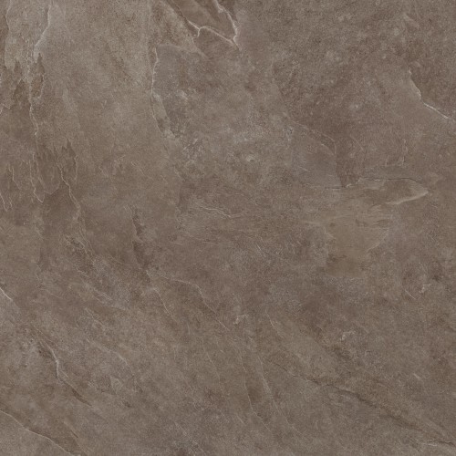 TAUPE.jpg