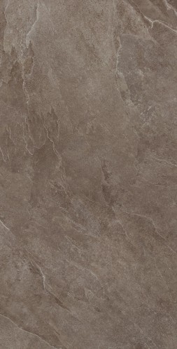TAUPE.jpg