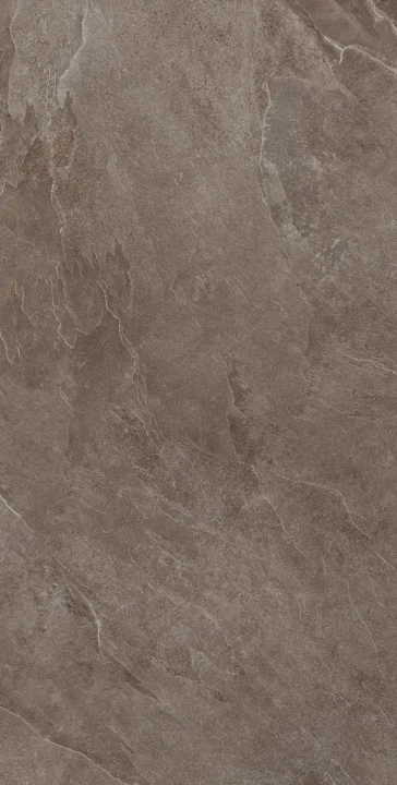 TAUPE.jpg