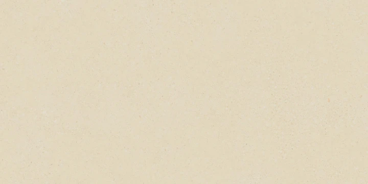 BASE CREMA.jpg