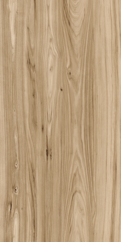 LIGHT BROWN2.png