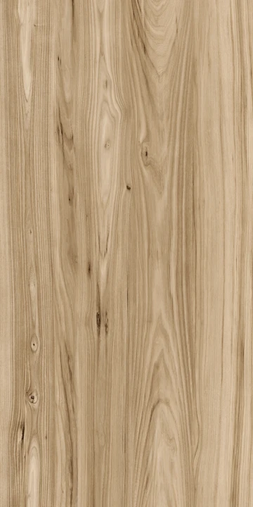 LIGHT BROWN2.png