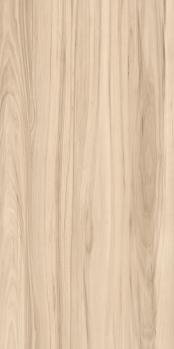 LIGHT BEIGE2.png
