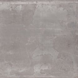 50031