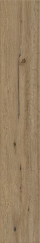 TAUPE.jpg