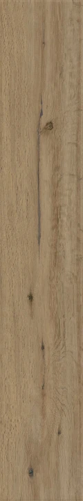 TAUPE.jpg