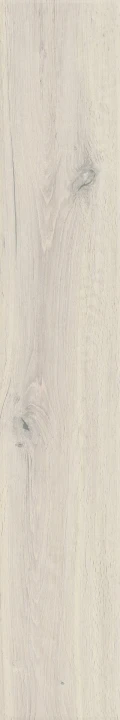 WHITE.jpg